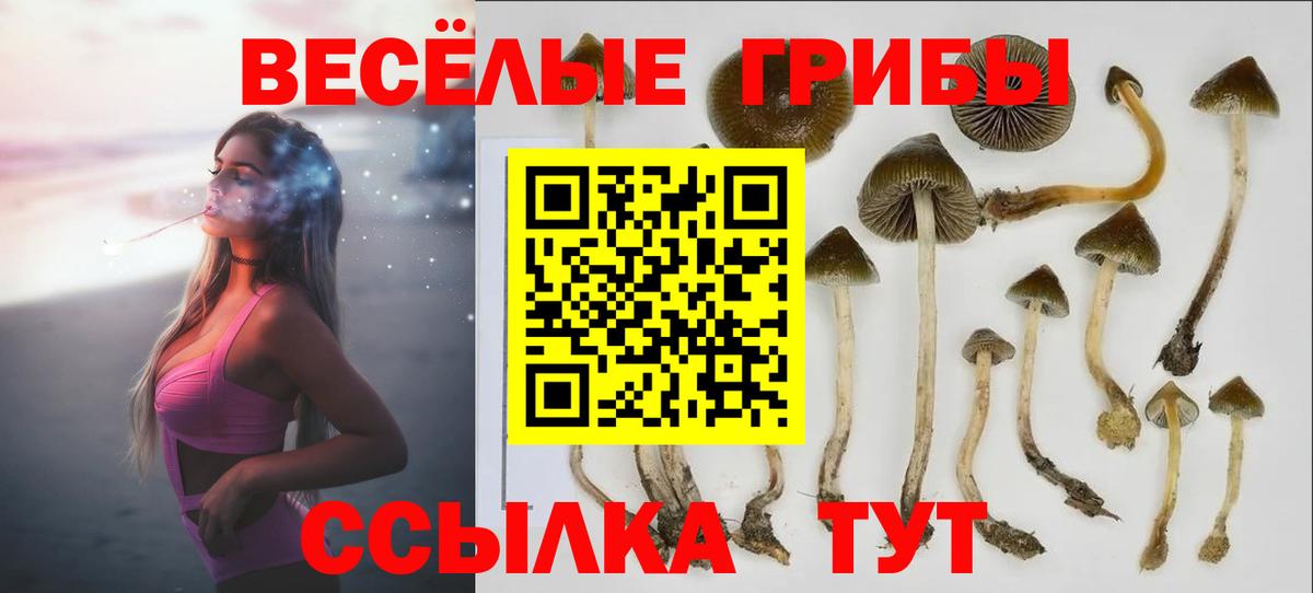 Псилоцибиновые грибы MAGIC MUSHROOMS  Вход с VPN  Саянск 